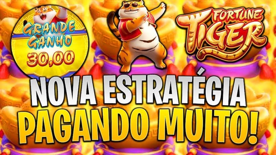 betfiery contato