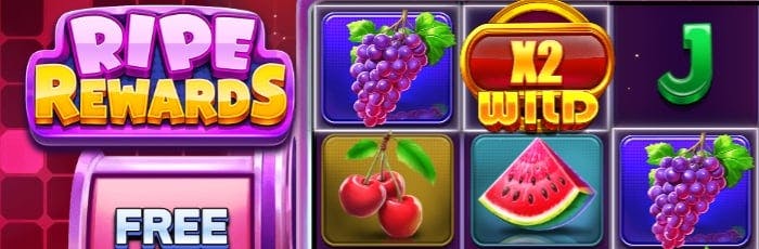 roo casino 100 free chip